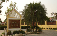 Grewal Farm